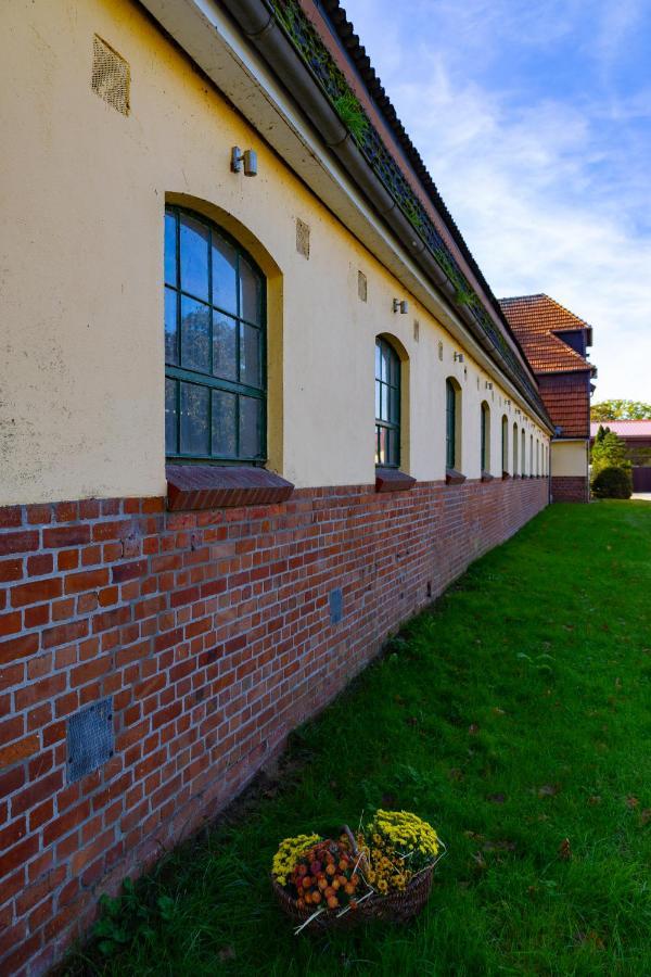 Fewo Mit Pferdeboxen, Paddock Und Weide In Der Lueneburger Heide Apartment Vierhofen Exterior photo