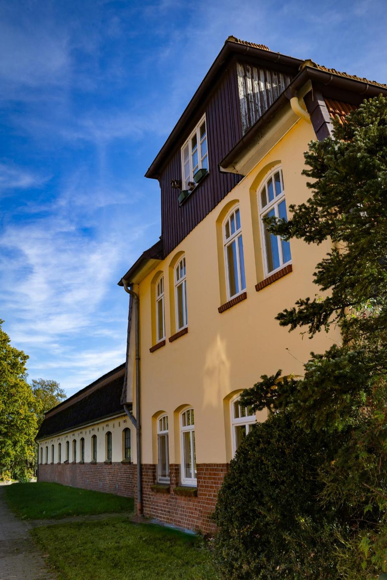 Fewo Mit Pferdeboxen, Paddock Und Weide In Der Lueneburger Heide Apartment Vierhofen Exterior photo